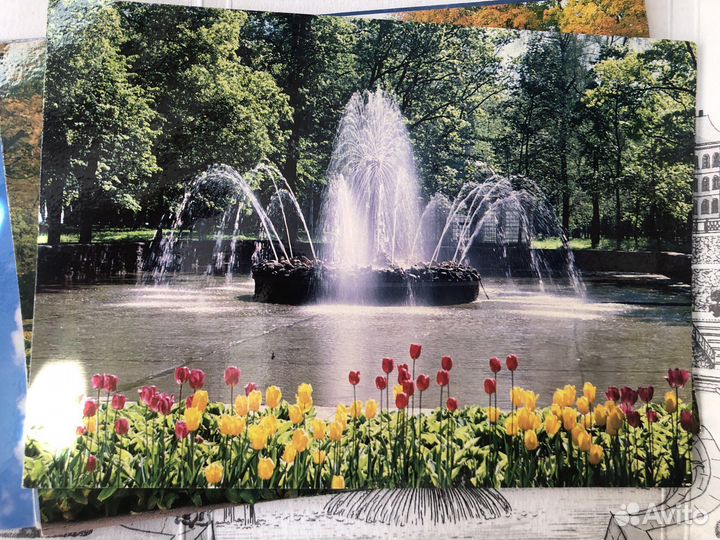 Открытки Петергоф