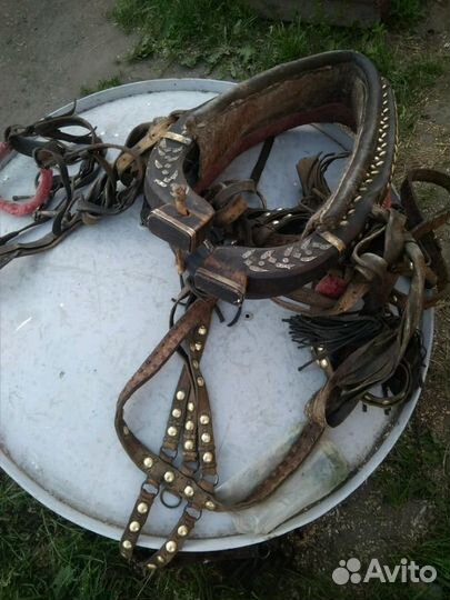Сбруя наборная