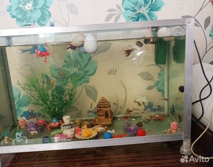 Аквариум с рыбками