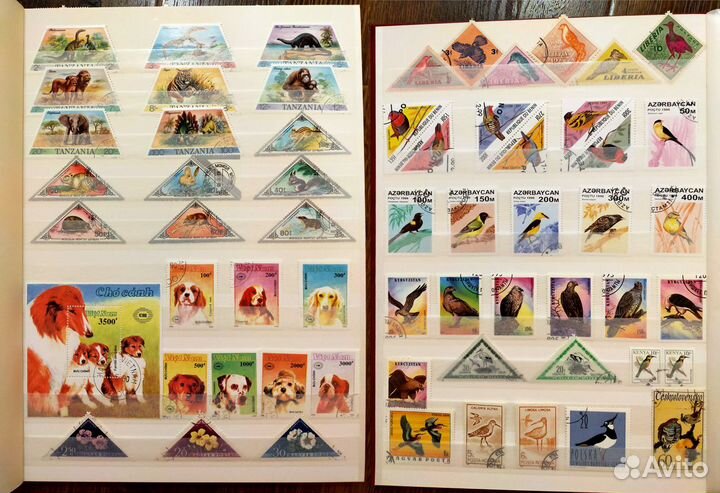 Старые Марки в Новом Альбом фауна и флора