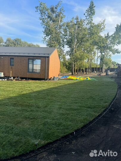 Рулонный газон