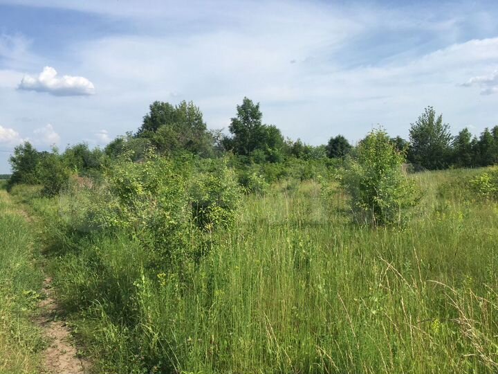 Участок 49 сот. (ИЖС)