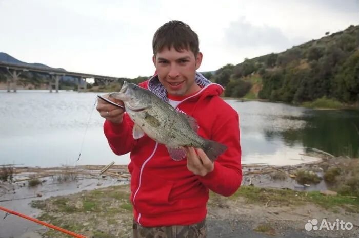 Тонущий воблер izumi Eimann Dance 80