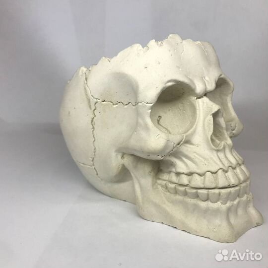 Кашпо Череп подставка для украшений кашпо / конфет