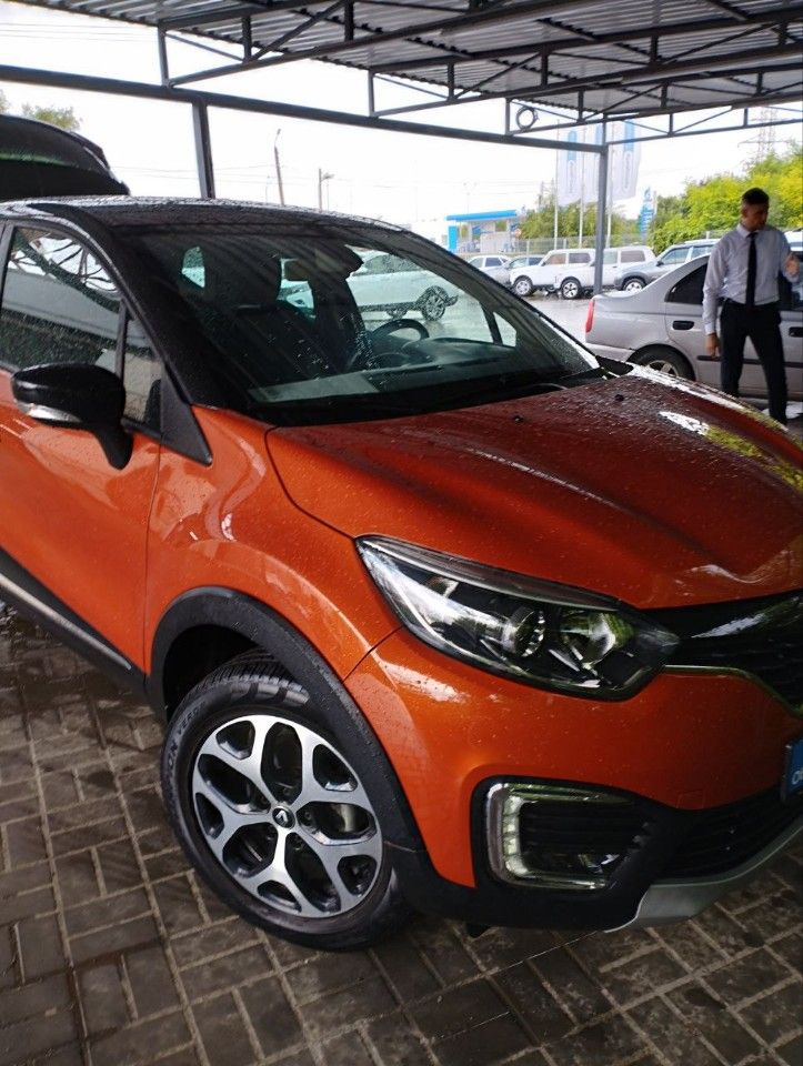 Renault Kaptur: фото владельца