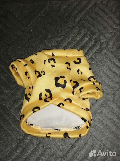 Одежда для маленьких пород собак