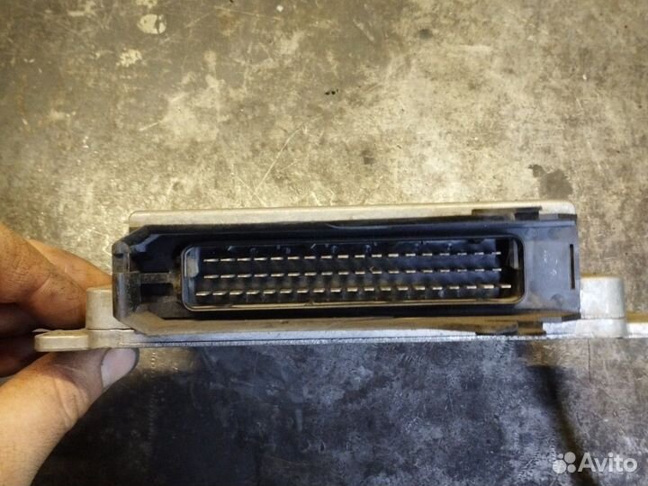 Эбу январь 5.1