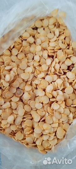 Семена перца Рамиро