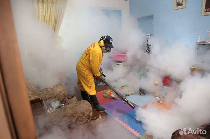 Уничтожение Насекомых / Борщевика / Ос