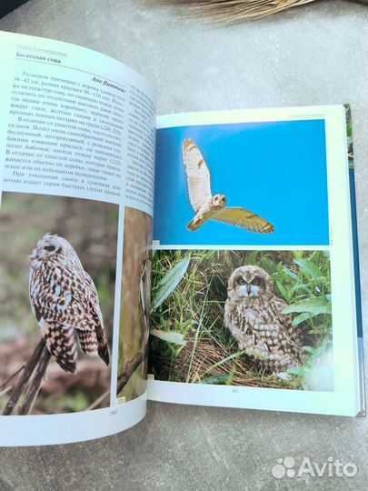 Атлас определитель Птицы европейской части России