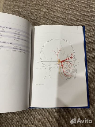 Опасные зоны лица