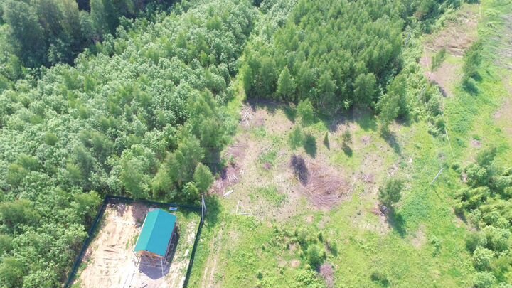 Участок 10 сот. (ИЖС)