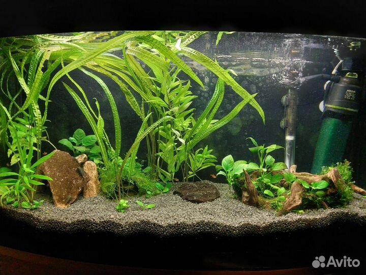 Большой аквариум на 100 л с крышкой. С рыбками