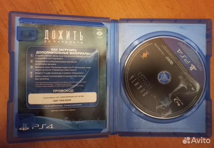 Дожить до рассвета