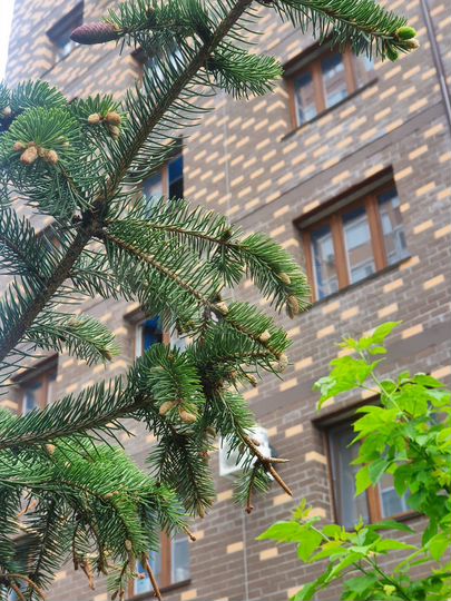 Квартира-студия, 28,7 м², 3/14 эт.