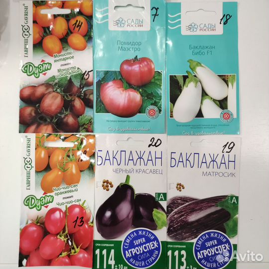 Рассада томатов, перцев