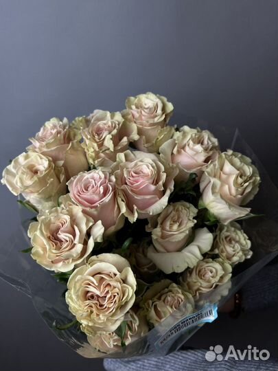 Премиум роза Эквадор 60-70 см с доставкой