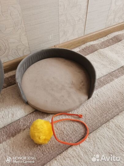 Когтеточка и лежанка для кошки