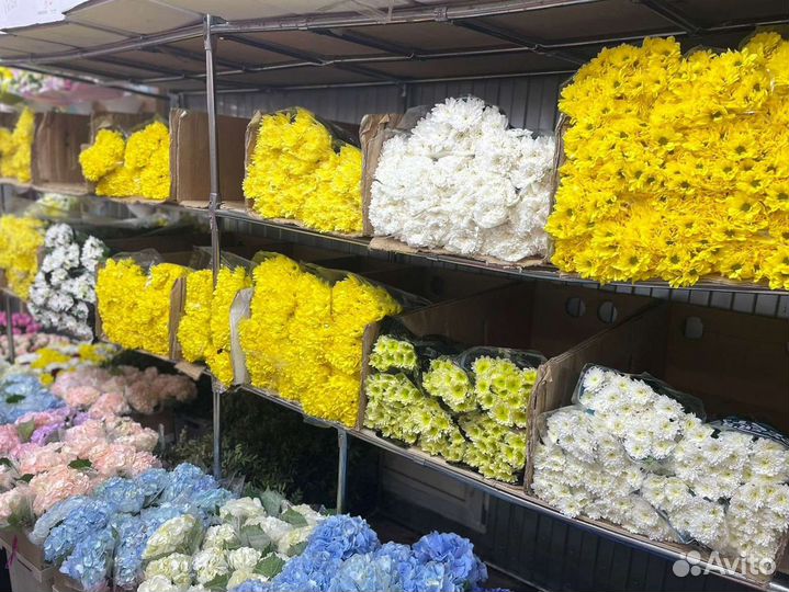 Букет из кустовых хризантем с доставкой по Москве