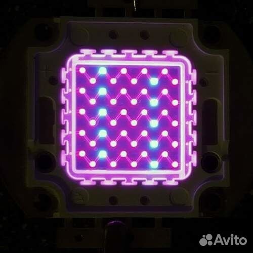 Светодиодные фито матрицы 20w биколор