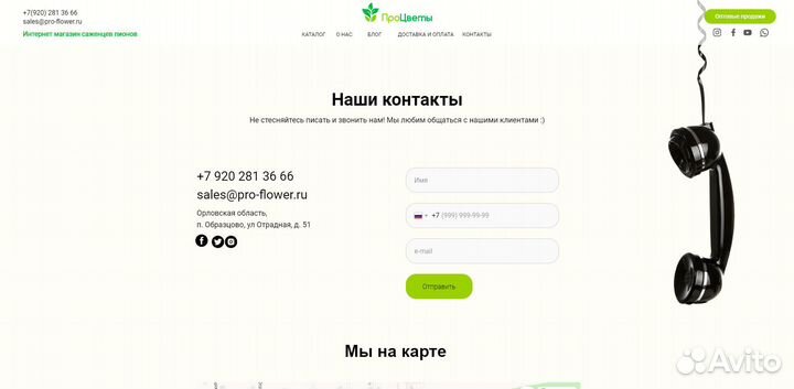 Создание сайта и его продвижение в Орле