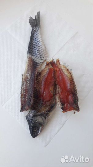 Плотва вяленая отборная.Высший сорт