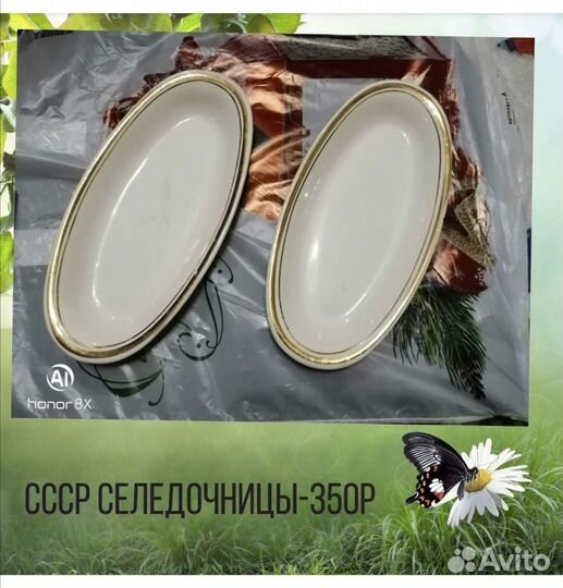 Селедочницы