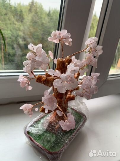 Денежное дерево, розовый кварц, цветущая сакура