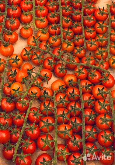 Вахта от 35 смен в теплицы г.Бобров