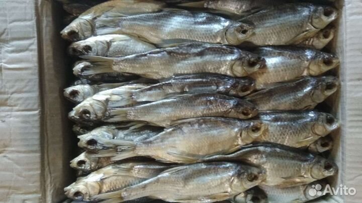 Вобла Астраханская