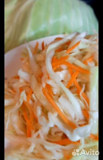 Квашеная капуста