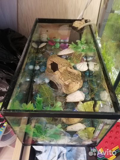 Аквариум объем 10 литров
