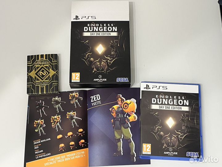 Диск Endless Dungeon (PS5)