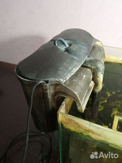 Аквариумы и оборудование