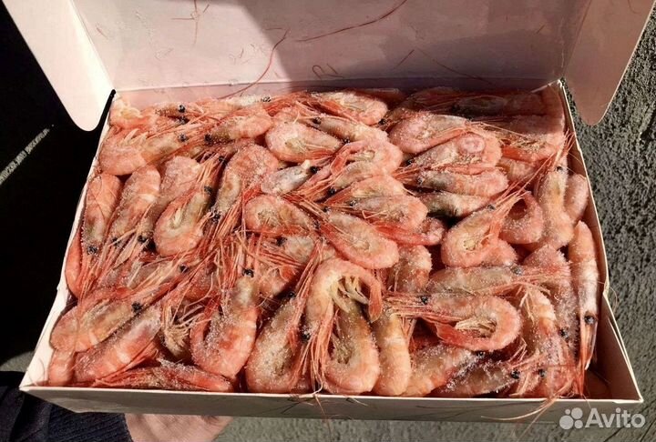 Креветки, лангустины отличного качества доставка
