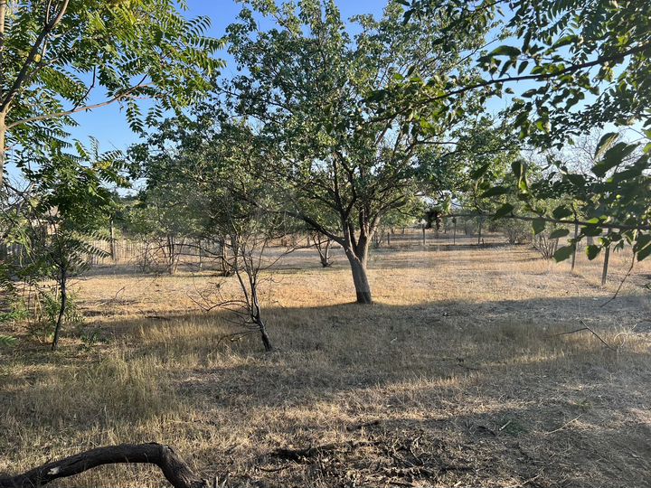 Дача 80 м² на участке 16 сот.