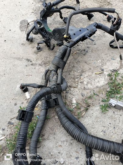 Проводка подкапотная Toyota Camry acv30