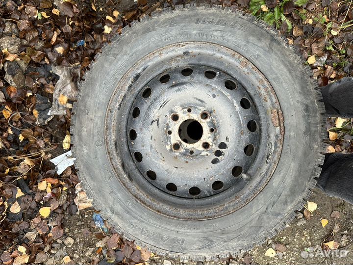 КАМА 505 Irbis 65/65 R14