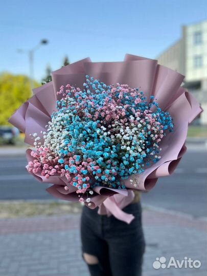 Бесплатно букет из гипсофил