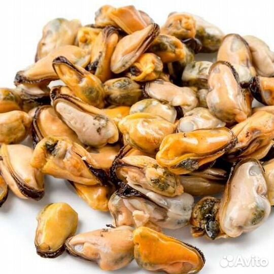 Мидии. Осьминоги бэби. Морепродукты