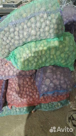 Мелкий картофель на корм скоту