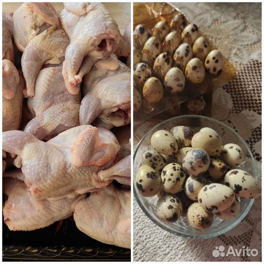 Мясо домашней птицы