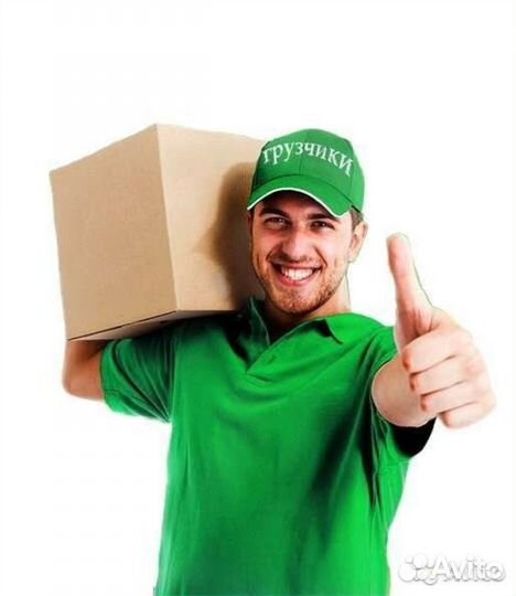 Мерчендайзер(СПБ)