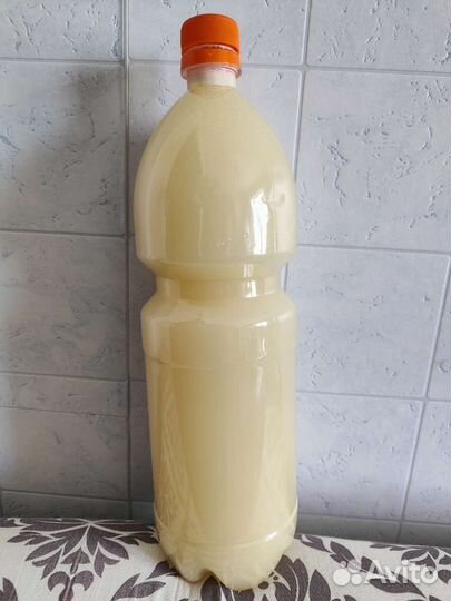 Эм-эко Кумицкого