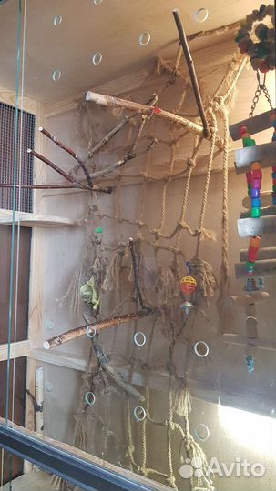 Клетка витрина