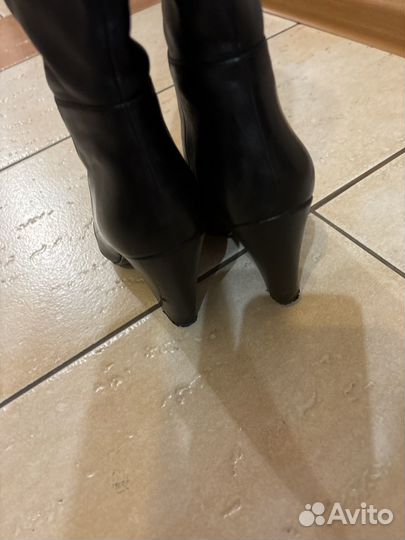 Carlo pazolini сапоги