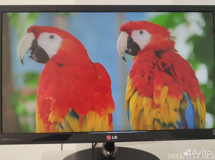 Монитор ips LG 24EA53T