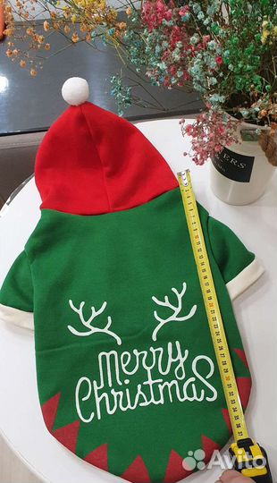 Одежда для собак мелких пород