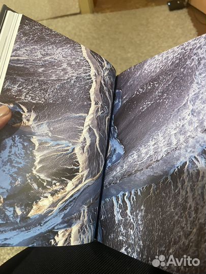 Палиенко Жизнь в удовольствие