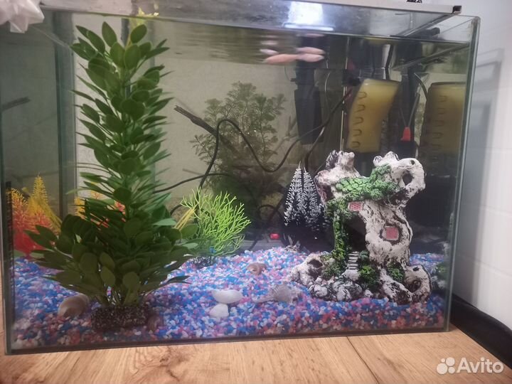 Аквариум